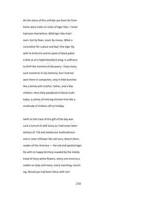 On the shore of this unfickle sea foam far from
home were ranks on ranks of tiger lilies. I never
had seen that before. Wild tiger lilies had I
seen, but by fews, never by manys. What a
coronation for a place and day! One tiger lily
with its brick tint and its spots of black paled
a little as of a faded blackbird wing, is sufficient
to thrill the moment of discovery. I have many
such moments in my memory; but I had not
seen them in companies; only in little bunches
like a family with mother, father, and a few
children. Here they wandered in literal multi-
tudes, a colony of enticing chrome tints like a
multitude of children off on holiday.
Swift on the track of this gift of the day was
such a tumult of wild tansy as I had never been
witness of. Tall and stately but multitudinous
and in color of flower like old ivory. Watch them,
reader of this itinerary — the red and spotted tiger
lily with its happy territory invaded by the stately
tread of ivory-white flowers, every one erect as a
soldier on duty and many, many marching, march-
ing. Would you had been there with me!
218
 