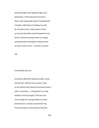 shining through it and singing through it and
perfuming it. A little way back of my host's
house I saw a big wandering barn that beckoned,
I thought, a little slyly as if makmg a sly wink
for me alone to see. I slyly winked in return,
as courtesy demanded, and with apparent uncer-
tainty in direction as wood smoke on a sleepy
evening hesitates aloft before it dreams south
or north or west or east — and then, my touch
162
THE CURLEW CALL 163
of harmless affectation being concluded, I dived
into the barn. I did not miss my guess. It was
an old, old barn built wholly of oak boards, beams,
rafters, mow floors — a thing which in our day
had been a fortune of gold. In this barn was
room enough for a young windstorm to have
tired itself out in. Horses munched their hay.
The wind strayed in and strayed out hke wan-
236
 