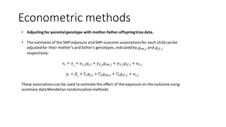 Econometric methods
• Adjusting for parentalgenotype with mother-father-offspringtrios data.
• The estimatesof the SNP-exposure and SNP-outcome associationsfor each child can be
adjustedfor their mother’s and father’s genotypes, indicatedby 𝑔𝑖𝑚,𝑗 and 𝑔𝑖𝑓,𝑗
respectively:
𝑥𝑖 = 𝛾0
+ 𝛾1,𝑗 𝑔𝑖,𝑗 + 𝛾2,𝑗 𝑔𝑖𝑚,𝑗 + 𝛾3,𝑗 𝑔𝑖𝑓,𝑗 + 𝑢𝑖,𝑗
𝑦𝑖 = 𝛽0
+ Γ1 𝑔𝑖,𝑗 + Γ2 𝑔𝑖𝑚,𝑗 + Γ3 𝑔𝑖𝑓,𝑗 + 𝑣𝑖,𝑗
These associationscan be used to estimate the effect of the exposure on the outcome using
summary dataMendelianrandomizationmethods.
 