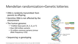Mendelian randomization=Genetic lotteries
• DNA is randomly transmitted from
parents to offspring
• Germline DNA is not affected by the
environment
• The human genome:
• ~3 billion base pairs (A, C, G, or T)
• Over 650 million variants
• 15 million common variants (minor
allele frequency >1%)
• Sequencing vs genotyping
M. Katan,Apoupoprotein E Isoforms,Serum Cholesterol,And Cancer. The Lancet. 327, 507–508 (1986).
 