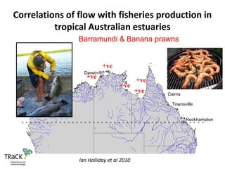 Correlations of flow with fisheries production in
          tropical Australian estuaries
                                                                   Barramundi & Banana prawns
                   N
     200       0       200     400 Kilometers




                                                                                           +ve
                                                                       Darwin
                                                                           +ve         Ú
                                                                                       Ê
                                                                                                                        +ve
                                                                                                            +ve
                                                                                                                        +ve                         Ú
                                                                                                                                                    Ê   Cairns
                                   Broome Ú
                                          Ê
                                                                                                                                                        Ú
                                                                                                                                                        Ê   Townsville


                                                                                                                                                                       Rockhampton
 N    N    N   N       N   N   N   N   N   N   N   N   N   N   N   N   N   N   N   N   N    N   N   N   N   N   N   N   N   N   N   N   N   N   N   N   N   N   N   NÚ N
                                                                                                                                                                     Ê     N   N   N   N




                                                                   Ian Halliday et al 2010
 