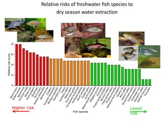 Relative risk score
                                    Bla




                                                           10
                                                                15
                                                                        20
                                                                                 25
                                                                                      30
                                 Bu ck b
                                     tle          r
                                          rs eam
                                              gru
                                      B
                              Or arra nter
                                   dR m
                                         ive und
                                              r            i
                                      Sle mul
                                 Gia ep                let
                                       nt y co
                                            gu          d




                Higher risk
                                        Bla dgeo
                        We                    ck         n
                             ste Bony mas
                                  rn                     t
                                       rai brea
                                 Ba         nb          m
                                      rre owfi
                       Ex                   d g sh
                           qu                    run
                               i            L          te
                         Ma ste ra ong r
                              cle          inb tom
                                   ay            ow
                                       '
                               Sp s gla fish
                                    an           s
                                         gle sfish
                                              dp
                             To                     erc
                                 oth                     h
                                      les Tarp
                                                       o
                                   B s ca n
                   Fly Snu lack tfish
                        -sp b-n ca
                             ec         os tfis
                                 k          d           h
                          No ed ha garfi
                               rth                     s
                                    we rdyh h
                                         st           ea
                               Mo                        d
                                     uth glasf
                                            alm ish
                 Bla                Go
                     ck-                 ld igh
                         ba       Hy en g ty




 Fish species
                              nd rtl's                ob
                                  ed           t         y
                             Mi         rai anda
                                 dg nbo n
                  Pu                 ley            w
                       rpl                 's g fish
                           e-s                   run
                               po Arch ter
                                    tte
                              B          d erfis
                        Fa erne gudg h
                            lse                       e
                                 -s y's c on
                  Ka Prm pined atfis
                      the        i                      h
                           rin tive a catfi
                               e R rc                  sh
                                     ive her
                                          r g fish
                                               u
                                                                                                  dry season water extraction




                                      Sw dge
                                             am on
                                      Blu p e
                       Sh Salm e ca el
                            ov                      t
                               el- on c fish
                                   no             atf
                              Em sed ish
                                   pi            ca
                                                                                           Relative risks of freshwater fish species to




                              Fre re gu tfish
                                    s            d
                             Re hwa geo
risk




                                  nd          ter n
                            De ahl'                  s
                                 lica s c ole
                                       te
Lower




                                                  atf
                                            blu ish
                                                  e
                                         Pe -eye
                                              nn
                                                   yfis
                                                        h
 