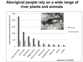 Aboriginal people rely on a wide range of
        river plants and animals




                            Jackson et al 2011
 