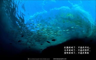 紅塵看破了，不過是浮沉；
生命看破了，不過是無常；
愛情看破了，不過是聚散
二○一三年七月五日星期
五
 