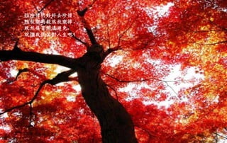 該珍惜的好好去珍惜，
該放棄的毅然放棄掉，
既然痛苦無法避免，
就讓我們笑對人生吧！
二○一三年七月五日星期
五
 