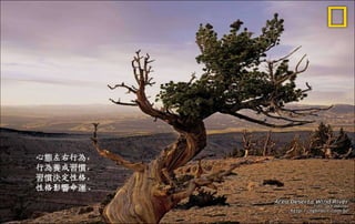 心態左右行為，
行為養成習慣，
習慣決定性格，
性格影響命運。
二○一三年七月五日星期
五
 