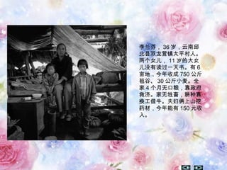 李兰芬， 36 岁，云南邱
北县双龙营镇太平村人。
两个女儿， 11 岁的大女
儿没有读过一天书。有 6
亩地，今年收成 750 公斤
苞谷、 30 公斤小麦。全
家 4 个月无口粮，靠政府
救济。家无牲畜，耕种靠
换工借牛。夫妇俩上山挖
药材，今年能有 150 元收
入。
 