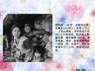 顾彩莲， 26 岁，云南邱北县
官寨乡山心村人。全家 4 口人
， 2 亩山坡地，今年收成不到
500 公斤的苞谷。经济收入靠
编竹箩，每年能挣 100 元。家
无牲畜。她说，如果谁能帮她
一些钱，养一头母牛，转过年
来母牛下了小牛，她就可以还
钱。
 