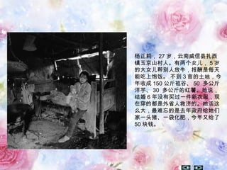 杨正莉， 27 岁，云南威信县扎西
镇玉京山村人。有两个女儿， 5 岁
的大女儿帮别人放牛，报酬是每天
能吃上饱饭。 不到 3 亩的土地，今
年收成 150 公斤苞谷、 50 多公斤
洋芋、 30 多公斤的红薯。她说，
结婚 6 年没有买过一件新衣服，现
在穿的都是外省人救济的。她活这
么大，最难忘的是去年政府给她们
家一头猪、一袋化肥，今年又给了
50 块钱。
 