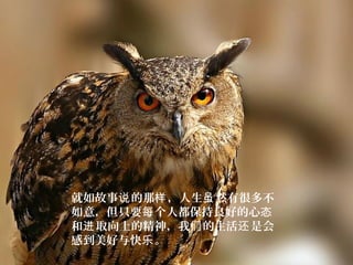 就如故事 的那 ，人生 然有很多不说 样 虽
如意，但只要 个人都保持良好的心每 态
和 取向上的精神，我 的生活 是会进 们 还
感到美好与快 。乐
 