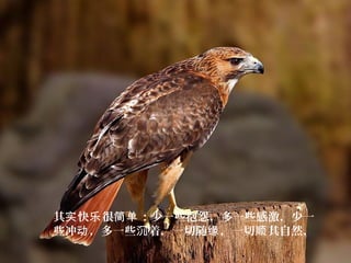 其 快 很 ：少一些抱怨，多一些感激，少一实 乐 简单
些冲 ，多一些 着，一切随 ，一切 其自然，动 沉 缘 顺
 