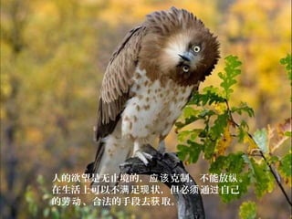 人的欲望是无止境的， 克制，不能放 。应该 纵
在生活上可以不 足 状，但必 通 自己满 现 须 过
的 、合法的手段去 取。劳动 获
 