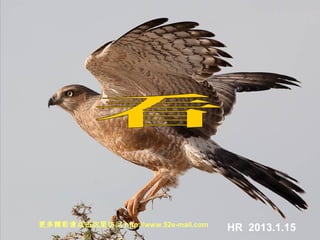 HR 2013.1.15更多精彩请点击这里访问 http://www.52e-mail.com
 