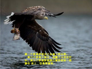 第一个梦是梦到自己在墙上种白菜。
第二个梦是下雨天，他戴了斗笠还打
伞。第三个梦是梦到跟心爱的表妹一起
躺在 床上，但是背靠背。
 