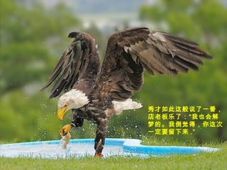 秀才如此这般说了一番，
店老板乐了：“我也会解
梦的。我倒觉得，你这次
一定要留下来 .”
 