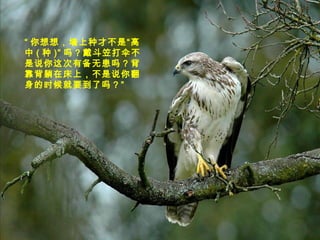 “ 你想想，墙上种才不是“高
中 ( 种 )” 吗？戴斗笠打伞不
是说你这次有备无患吗？背
靠背躺在床上，不是说你翻
身的时候就要到了吗？”
 