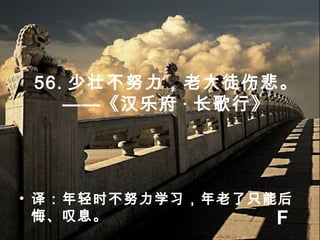 56. 少壮不努力，老大徒伤悲。
——《汉乐府 · 长歌行》
• 译：年轻时不努力学习，年老了只能后
悔、叹息。 F
 