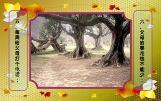 五
、
每
周
给
父
母
打
个
电
话
；
六
、
父
母
的
零
花
钱
不
能
少
；
 