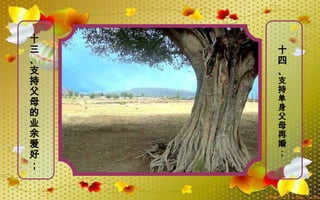 十
三
、
支
持
父
母
的
业
余
爱
好
；
十
四
、
支
持
单
身
父
母
再
婚
；
 