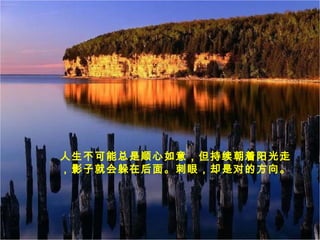 人生不可能总是顺心如意，但持续朝着阳光走
，影子就会躲在后面。刺眼，却是对的方向。
 