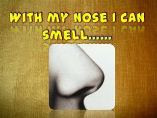 THE SENSE OF SMELL (Science 1º Primaria)