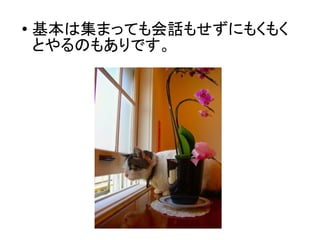 ●
基本は集まっても会話もせずにもくもく
とやるのもありです。
 