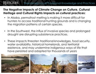 The Negative Impacts of Climate Change on Culture, Cultural
Heritage and Cultural Rights Impacts on cultural practices:
Threatened Local/Traditional Knowledge and Practices
• In Alaska, permafrost melting is making it more difficult for
hunters to access traditional hunting grounds and is changing
the migration patterns of certain species.
• In the Southwest, the influx of invasive species and prolonged
drought are disrupting subsistence practices.
• These impacts threaten traditional knowledges, food security,
water availability, historical homelands, and territorial
existence, and may undermine indigenous ways of life that
have persisted and adapted for thousands of years
 