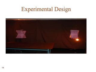 Experimental Design 
14 
 