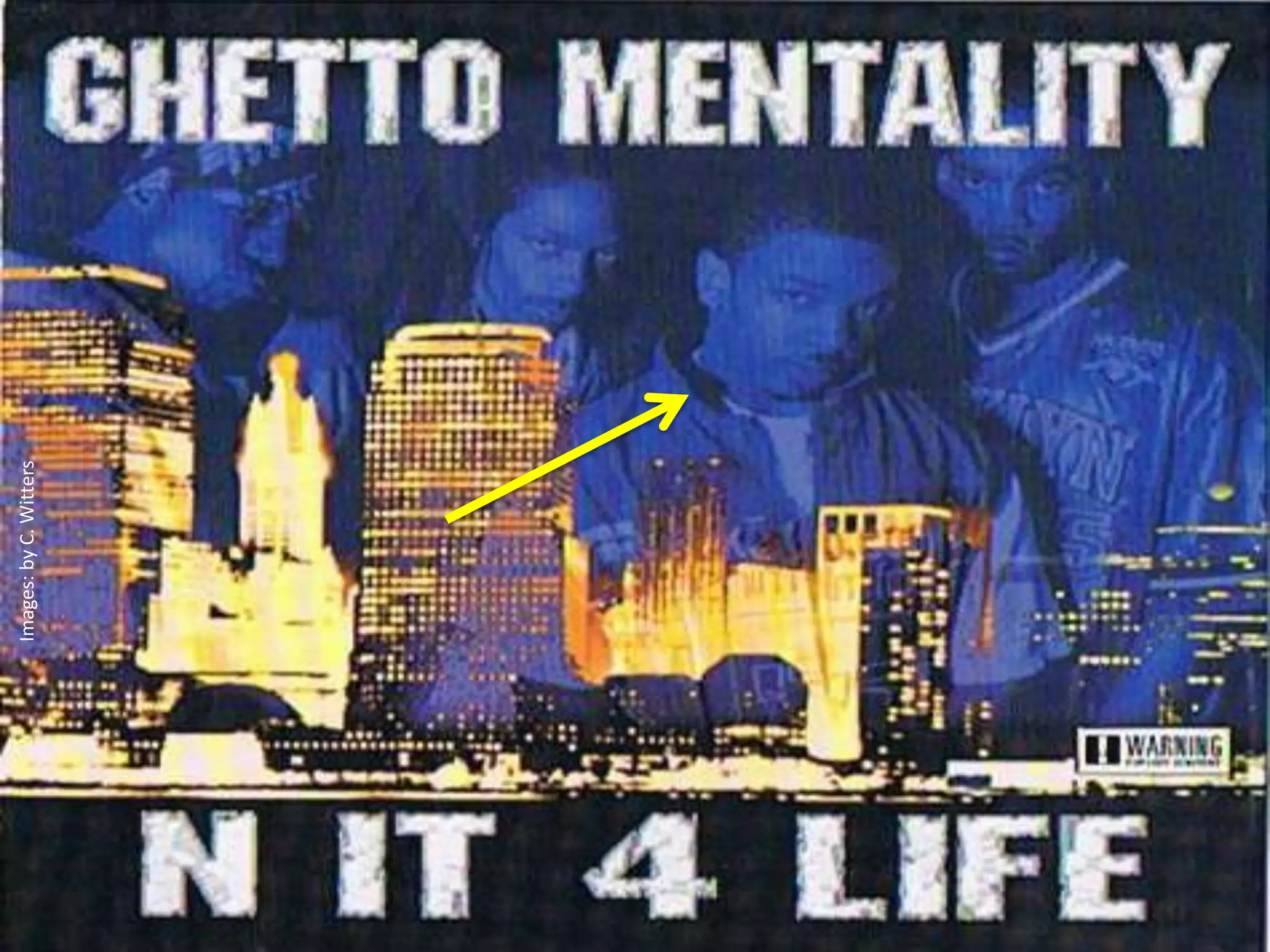 Images: by C. Witters
 