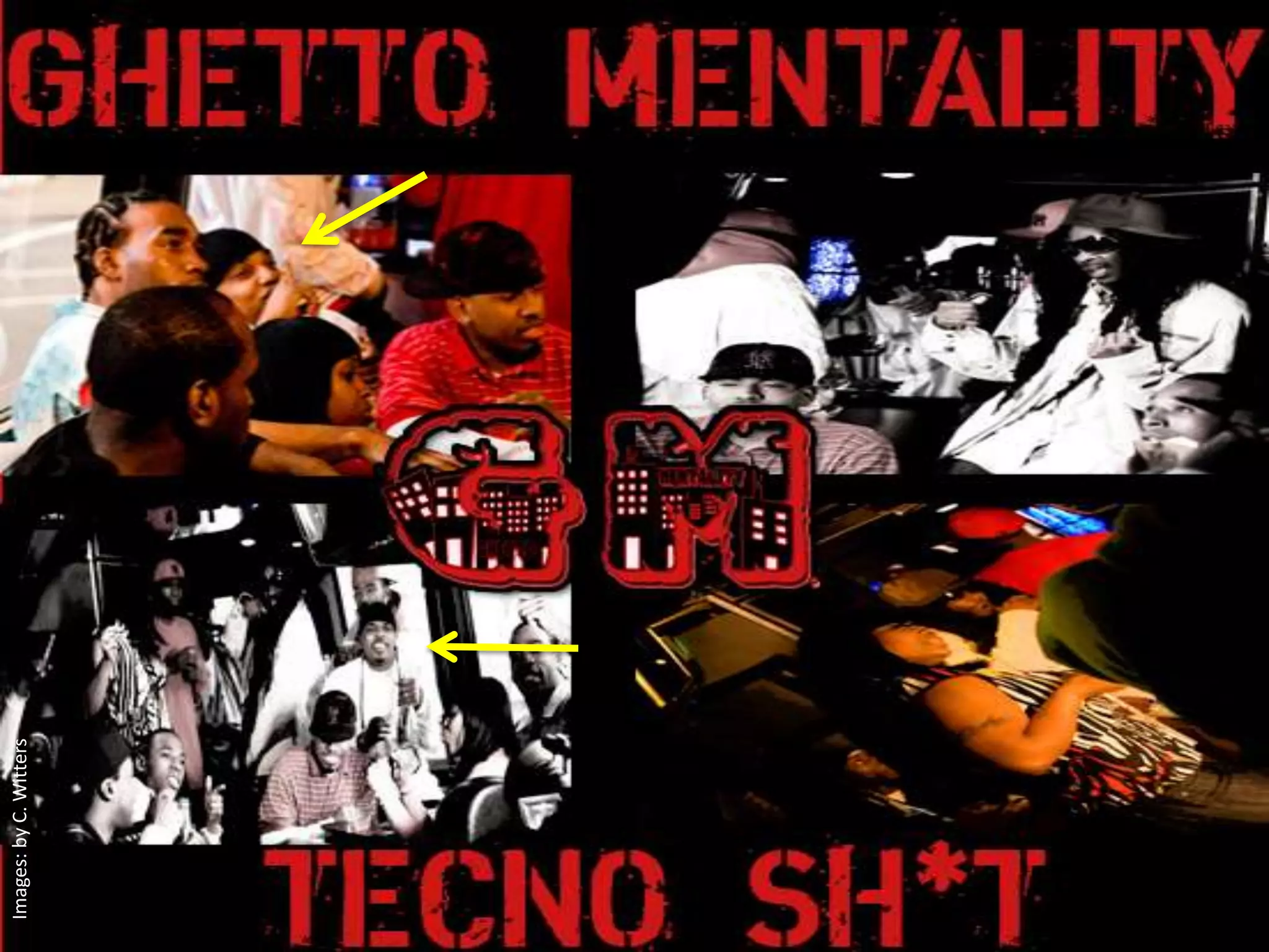 Images: by C. Witters
 