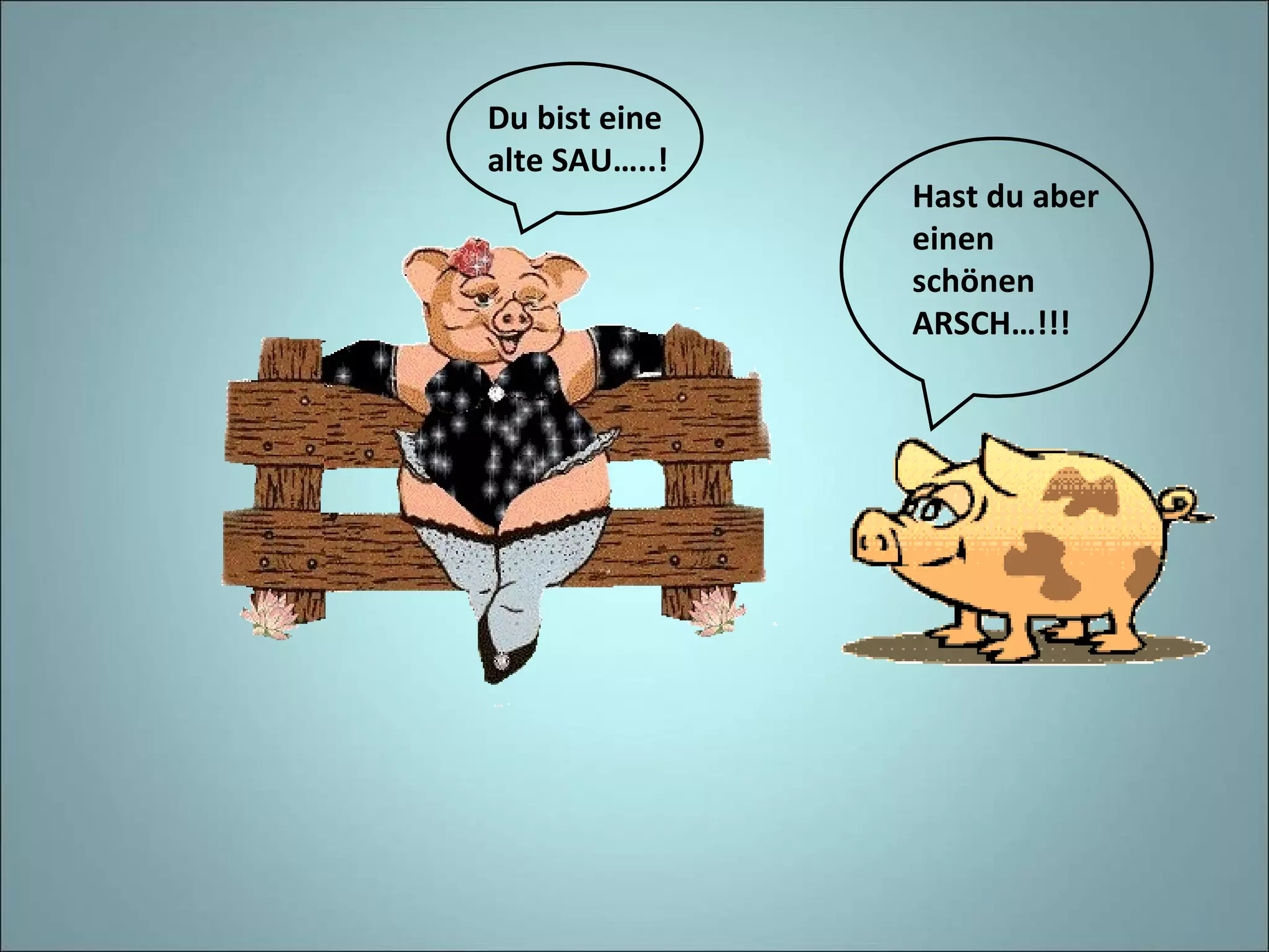 Hast du aber einen schönen ARSCH…!!! Du bist eine alte SAU…..!