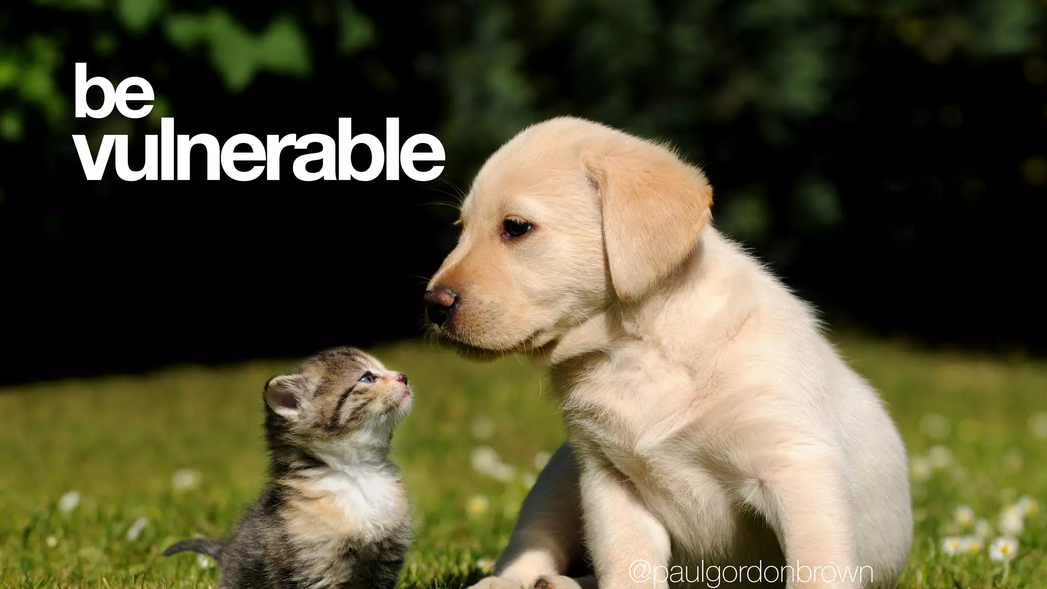 vulnerable
be
@paulgordonbrown
 