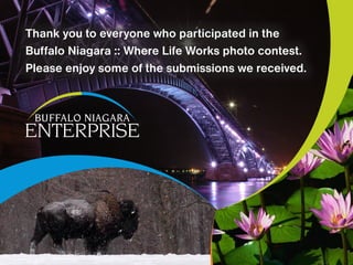 Thank you to everyone who participated in the
Buffalo Niagara :: Where Life Works photo contest.
Please enjoy some of the submissions we received.
 
