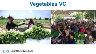 Institutional and Governance Innovation in Thailand’s Food System: The Role of the Private Sector in Food Safety 