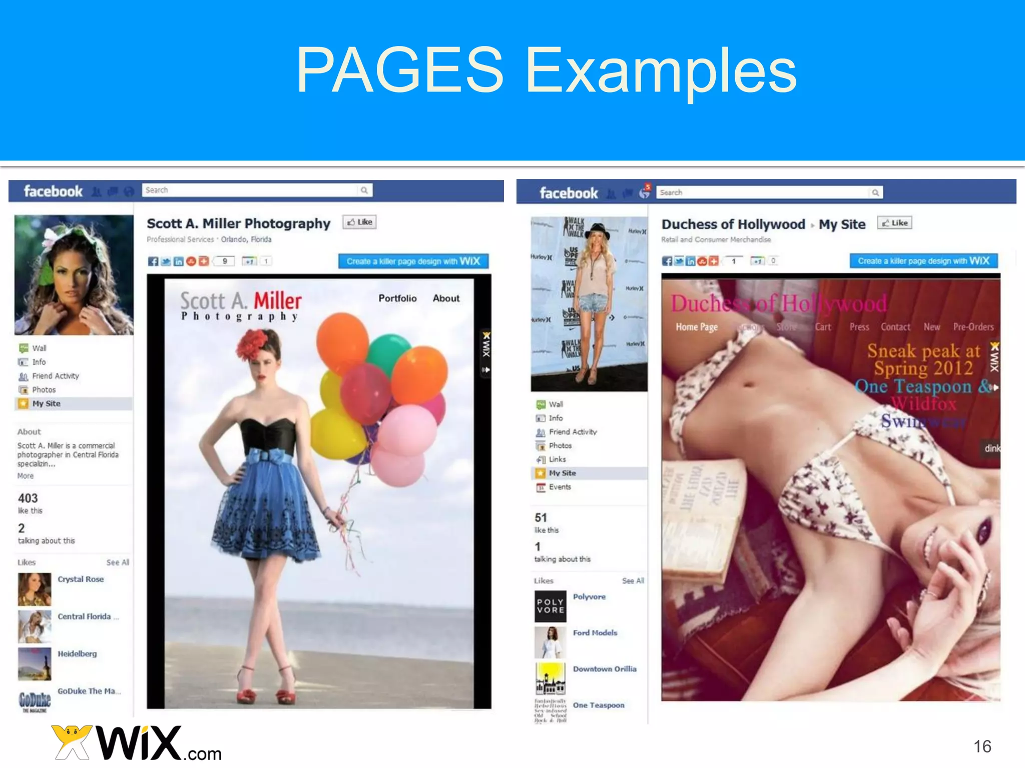 PAGES Examples




                 16
 