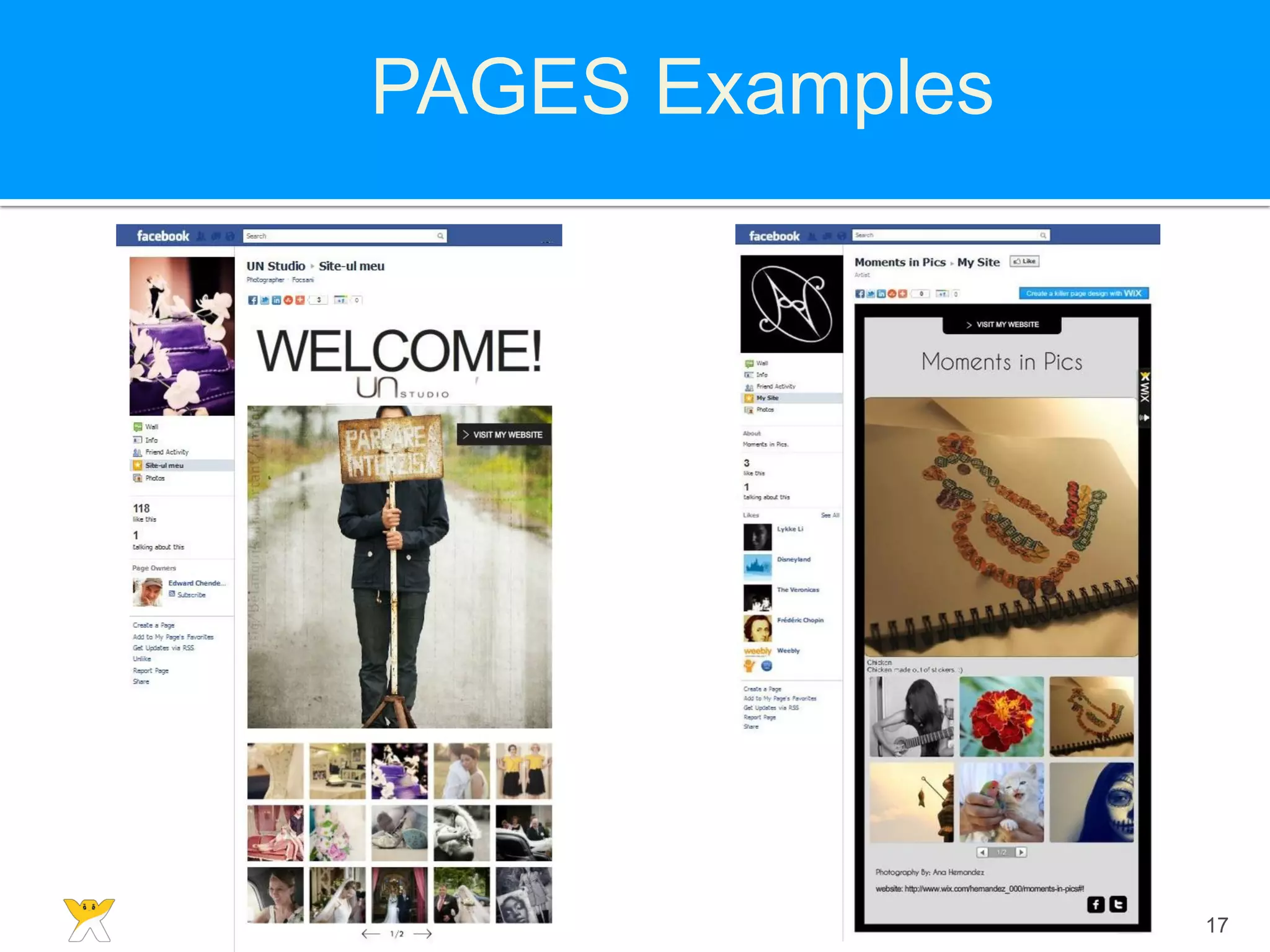 PAGES Examples




                 17
 