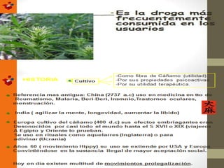 Yo amo mi colegio libre de Drogas