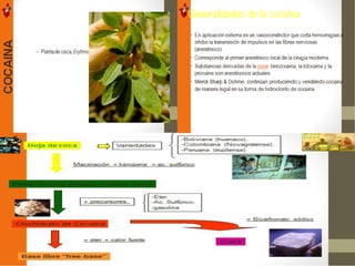 Yo amo mi colegio libre de Drogas