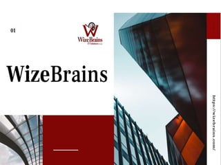 Wize Brains IT Solutions Pvt Ltd