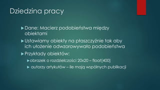 Dziedzina pracy
Dane: Macierz podobieństwa między
obiektami
Ustawiamy obiekty na płaszczyźnie tak aby
ich ułożenie odwzorowywało podobieństwa
Przykłady obiektów:
obrazek o rozdzielczości 20x20 – float[400]
 autorzy artykułów – ile mają wspólnych publikacji
 