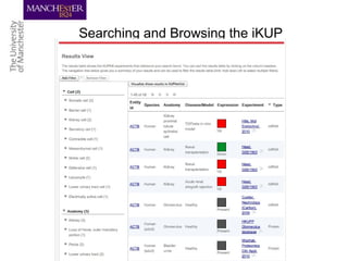 Searching and Browsing the iKUP
 