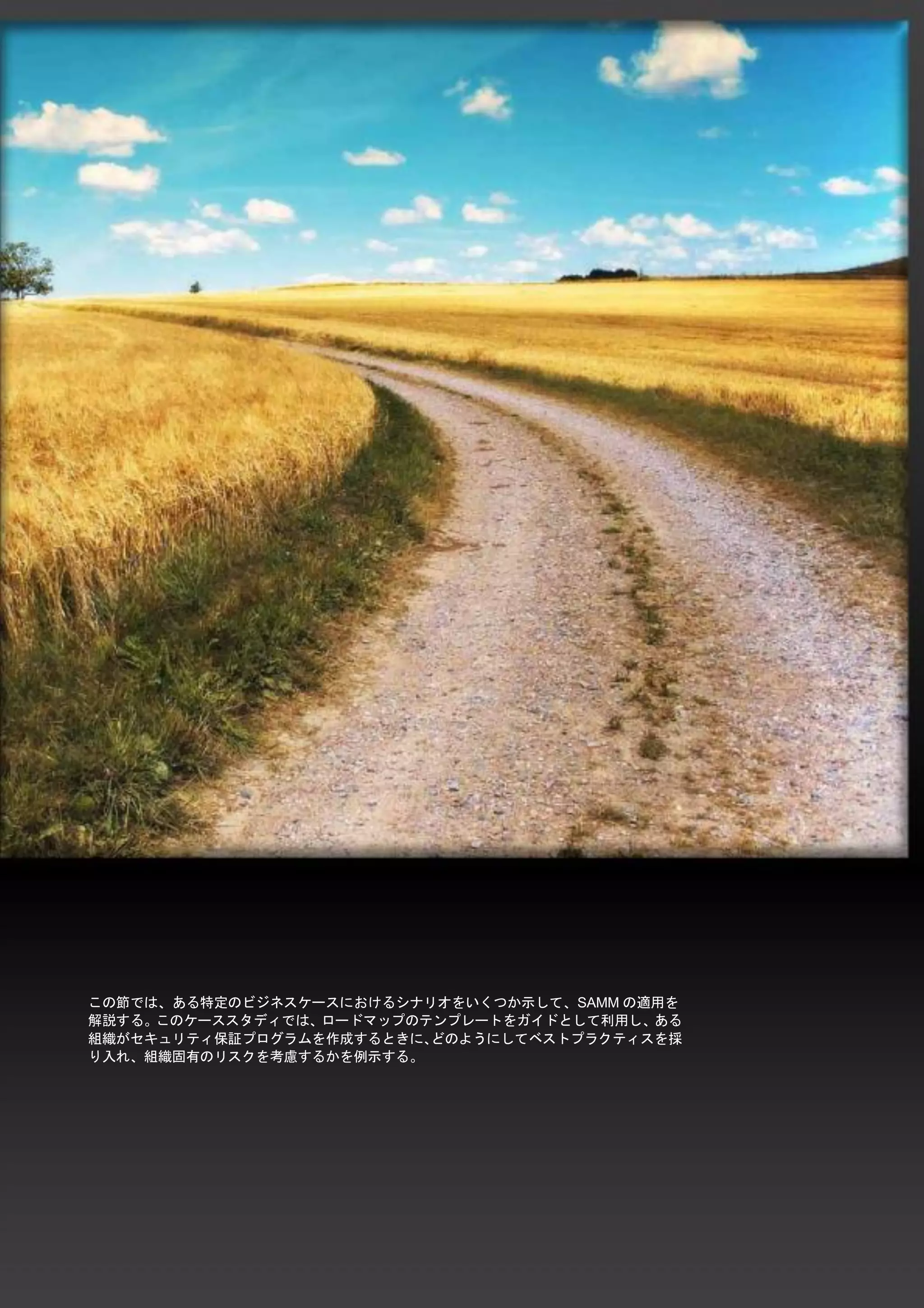 83 
SAMM / ソフトウエア品質保証成熟度モデル - v1.0 
この節では、ある特定のビジネスケースにおけるシナリオをいくつか示して、SAMMの適用を 解説する。このケーススタディでは、ロードマップのテンプレートをガイドとして利用し、ある 組織がセキュリティ保証プログラムを作成するときに、どのようにしてベストプラクティスを採 り入れ、組織固有のリスクを考慮するかを例示する。 
 