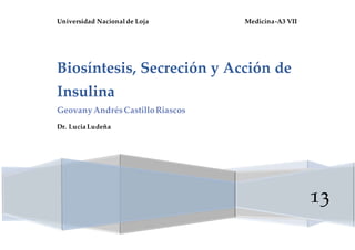 Universidad Nacionalde Loja Medicina-A3 VII
13
Biosíntesis, Secreción y Acción de
Insulina
GeovanyAndrésCastilloRiascos
Dr. Lucia Ludeña
 