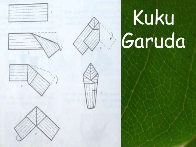 Macam Macam Bentuk Lipatan Daun Pisang Seputar Bentuk Macam Macam Bentuk Lipatan Daun Pisang Seputar Bentuk