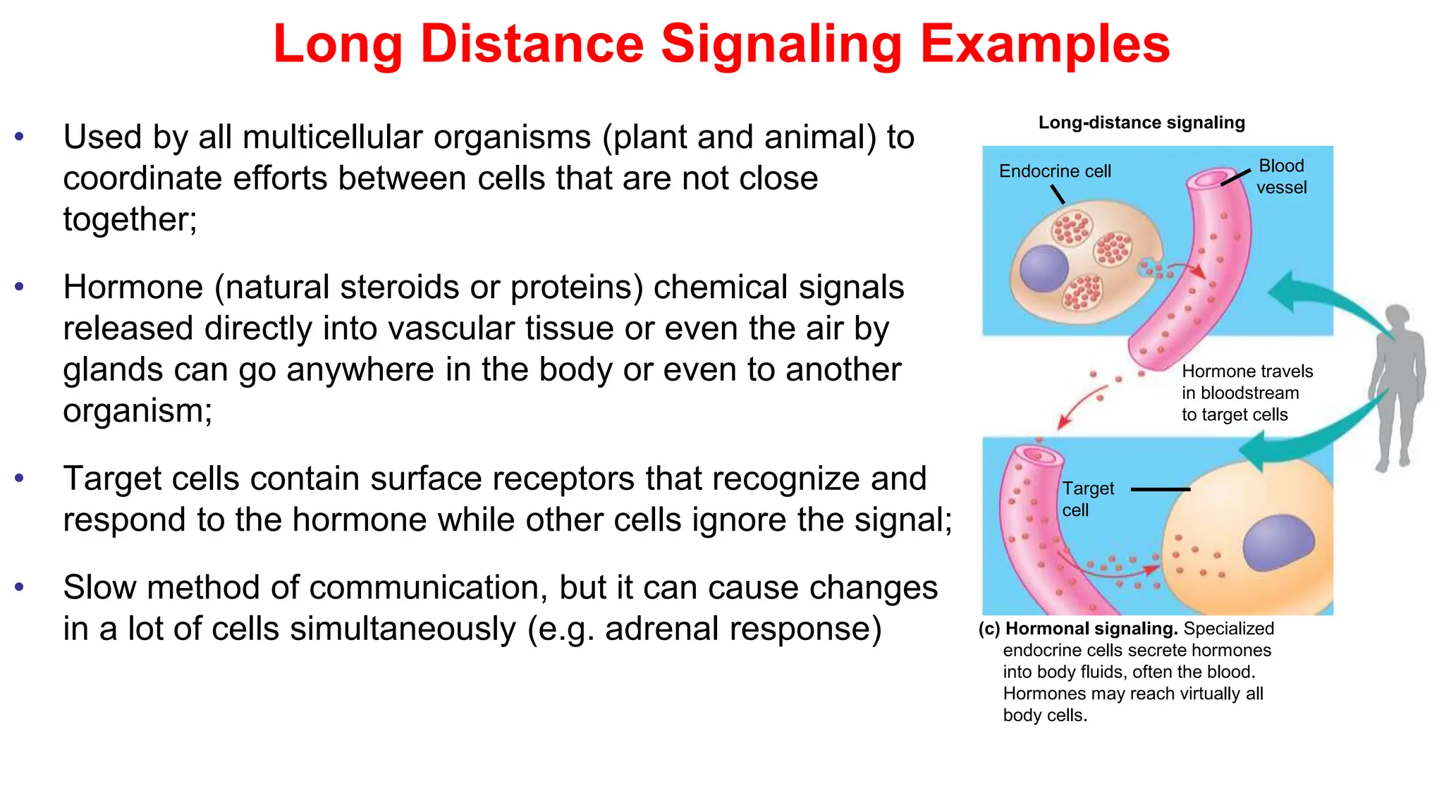 A discussion on cells signalling on the course cell biology oligy | PPTX