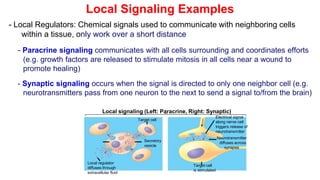 A discussion on cells signalling on the course cell biology oligy | PPTX