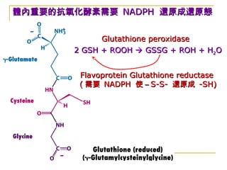體內重要的抗氧化酵素需要體內重要的抗氧化酵素需要 NADPHNADPH 還原成還原態還原成還原態
2 GSH + ROOH2 GSH + ROOH  GSSG + ROH + HGSSG + ROH + H22OO
Glutathione peroxidaseGlutathione peroxidase
Flavoprotein Glutathione reductaseFlavoprotein Glutathione reductase
(( 需要需要 NADPHNADPH 使使 –– S-S-S-S- 還原成還原成 -SH)-SH)
 
