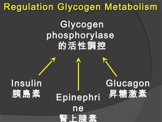 Glycogen
phosphorylase
的活性調控
Insulin
胰島素 Epinephri
ne
腎上腺素
Glucagon
昇糖激素
Regulation Glycogen MetabolismRegulation Glycogen Metabolism
 