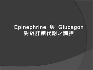 Epinephrine 與 Glucagon
對於肝醣代謝之調控
 