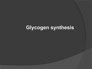 Glycogen synthesis
 